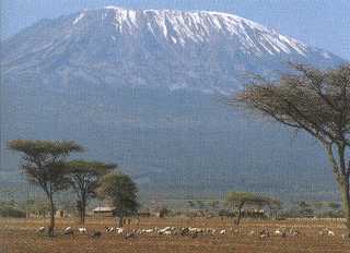 Kilimandscharomassiv